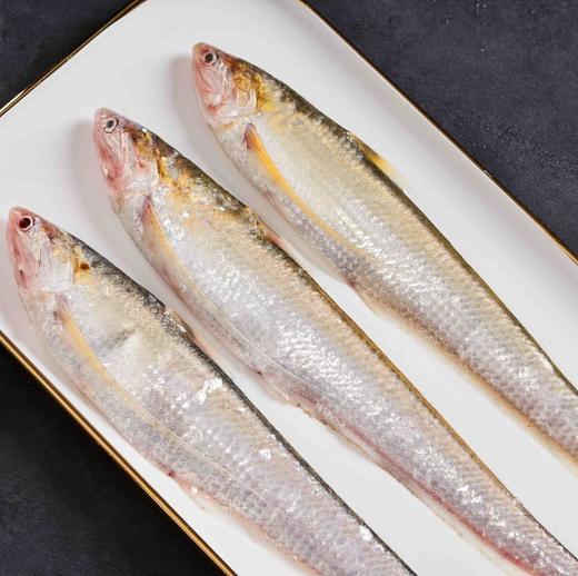 至鲜海刀鱼 250g/3条 液氮速冻  鲜中之鲜  软嫩细腻  “明前刀”骨软如绵哦~ 商品图0