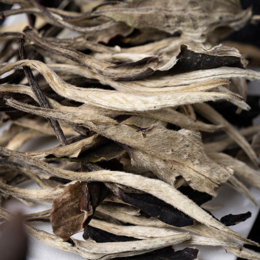 月光白 商品图4