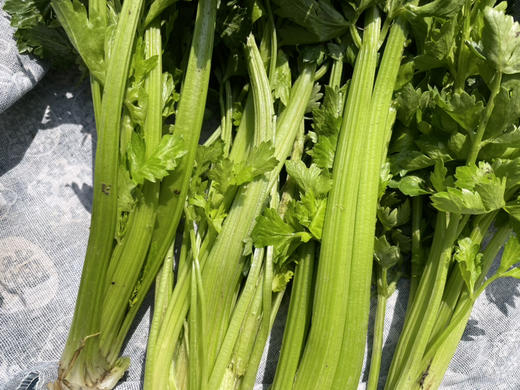 【本地蔬菜】药芹500g 商品图3