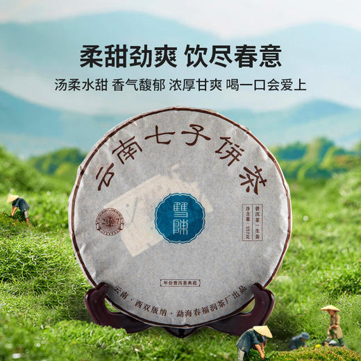 2022年蓝印圆茶生茶357g饼茶 商品图3