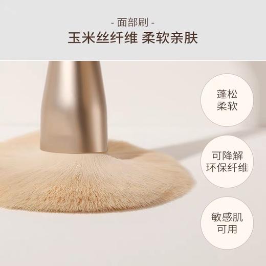 USER莫兰迪12支套刷化妆刷软动物毛玉米丝修容眼影散粉腮红遮瑕刷 商品图3