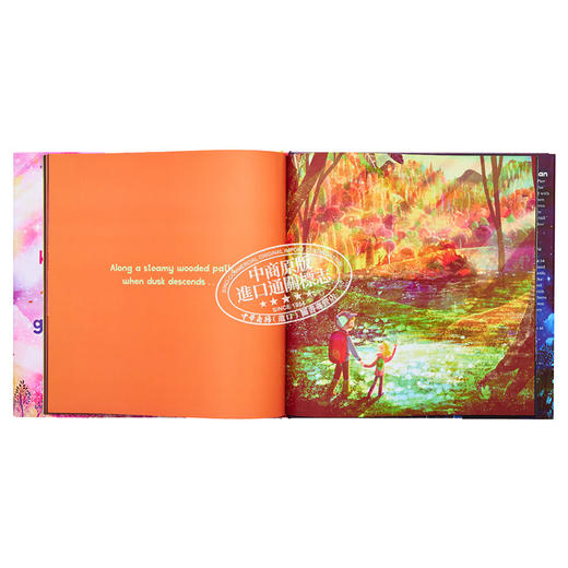 【中商原版】David Litchfield：When the Sky Glows 当天空闪亮 英文原版 精品绘本 儿童故事 Nell Cross Beckerman 4-6岁 商品图6