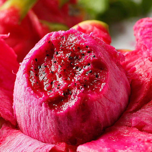 越南红心火龙果4.5-5斤 单果400g+ 商品图2