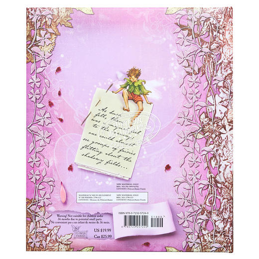 【中商原版】Fairyopolis: A Flower Fairies Journal 花仙子日记 英文儿童童书 商品图1