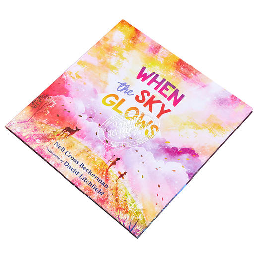 【中商原版】David Litchfield：When the Sky Glows 当天空闪亮 英文原版 精品绘本 儿童故事 Nell Cross Beckerman 4-6岁 商品图2