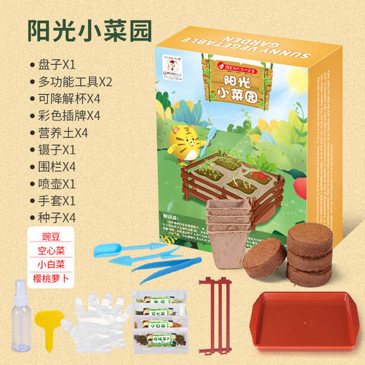 【科学种植实验室！】儿童种植观察种子发芽生长科学实验套装小学生diy盆栽种植玩具-QQ 商品图6