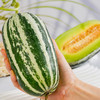 博洋9号甜瓜 蜜瓜 羊角蜜 3斤/4.5斤 家庭/彩箱装 【主发顺丰包邮】 商品缩略图3