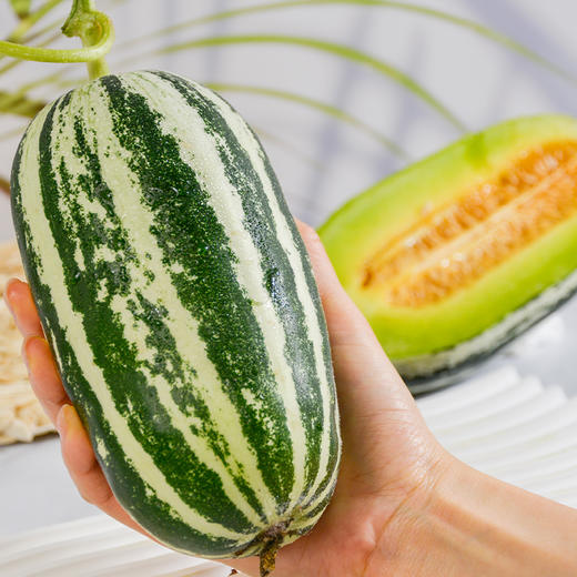 博洋9号甜瓜 蜜瓜 羊角蜜 3斤/4.5斤 家庭/彩箱装 【主发顺丰包邮】 商品图3