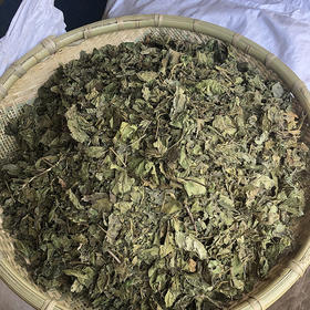 桑叶 常用规格 云南新货桑叶