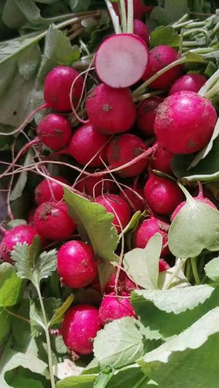 鸿翠园 有机小红丁 商品图8