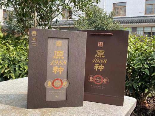 云台崖 原种1988安化黑茶1kg湖南安化正品正宗金花手筑茯砖茯茶 原始品系 天然纯粹 商品图2