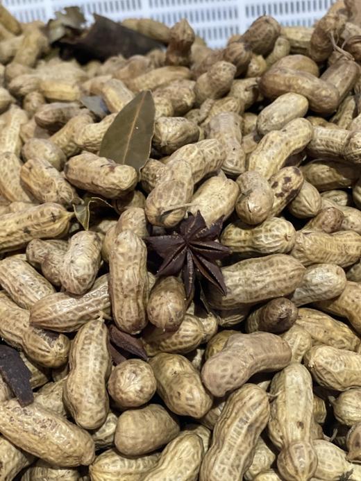 天然野生！【广西野生八角】天然晾晒 粒大饱满 色泽自然 香味浓郁 无硫不提炼 干净无杂质 吃着更放心！ 商品图3