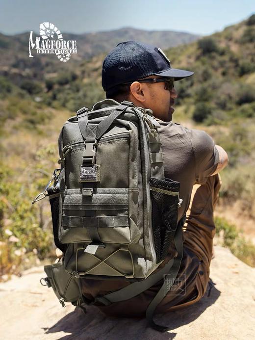 美马城市猎人 商品图0