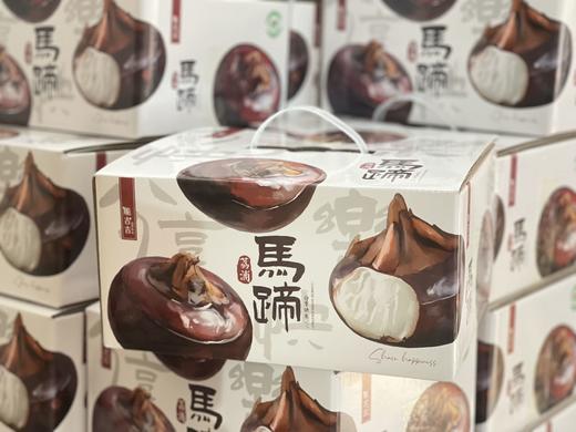 广西地标产品！脆吉吉【荔浦马蹄】新鲜采挖 化渣清甜 号称“地下雪梨”“江南人参” 生津润肺~ 商品图0