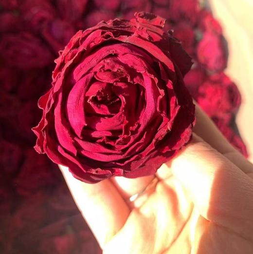 25年头茬新花【热爱生活的人 生活也爱她 】玫瑰花冠王 冻干玫瑰花冠王 冻干技术  芳香馥郁 于忙碌征途中给予心中一隅安宁 商品图1