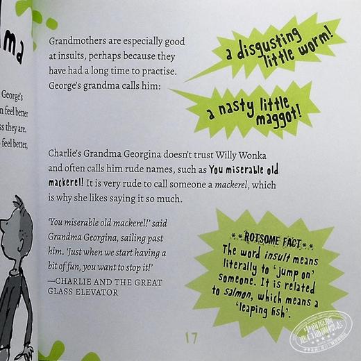 【中商原版】Roald Dahl rotsome repulsant words儿童教辅书识字材料英文原版 商品图6