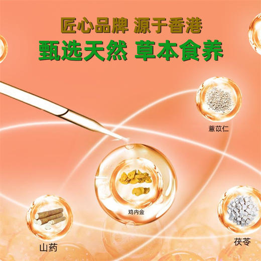 香港衍生开奶茶固体饮料 商品图2