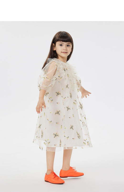 jnby  23年夏款  绣花设计网纱中袖连衣裙  1N4G13120 商品图5