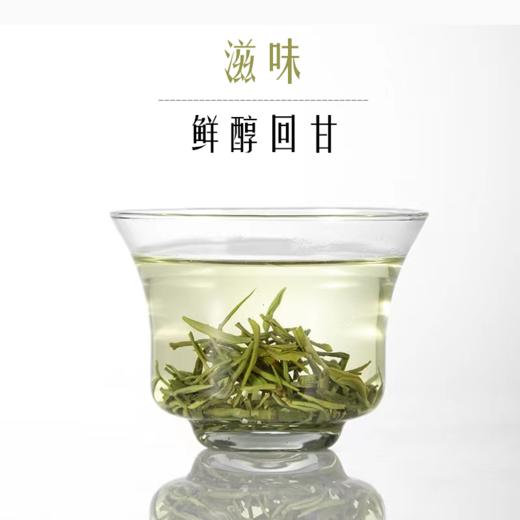 西南大学研制 西农茶叶 缙云毛峰 绿茶 礼盒装108克 商品图5