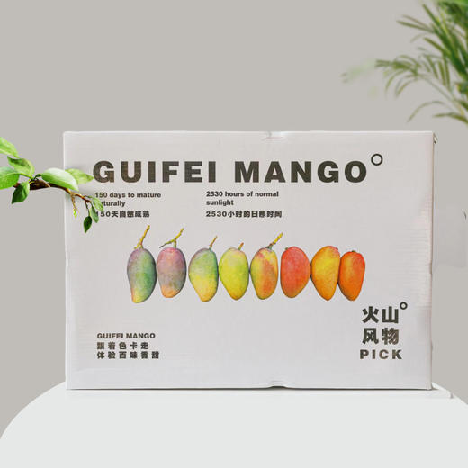 海南树上熟贵妃芒礼盒装 时令小芒果 香甜浓郁 京东发货 商品图5