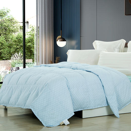 鑫缘 可水洗白鹅朵朵绒被 EYPB0220 商品图3