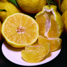 【酸甜适中】四川好物 柠檬不知火丑橘 5斤