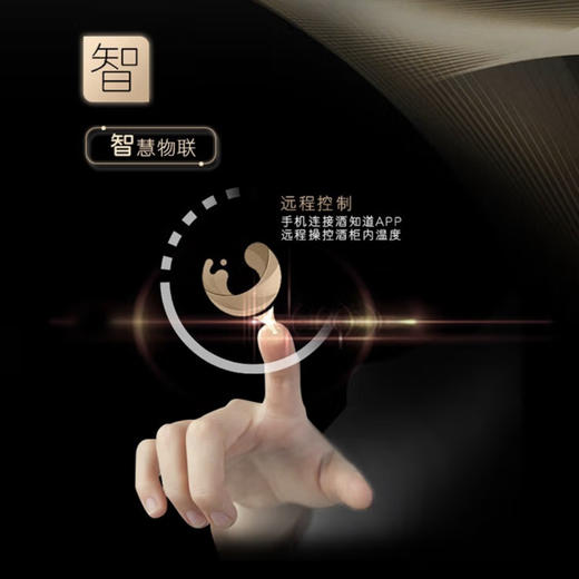 卡萨帝（Casarte）酒柜 JC-316BPU1 商品图7