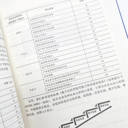 数智化转型：企业升级之路 张良友王鹏著企业管理数字化转型书籍数智化基石数字技术企业战略人工智能大数据互联网 商品图4