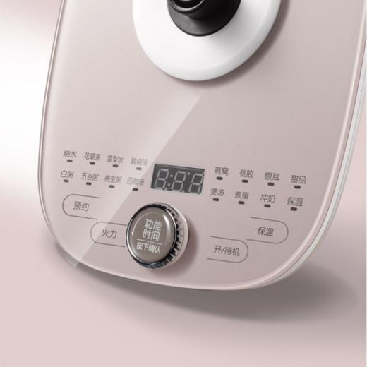 小熊（Bear）养生壶大容量家用多功能办公室煮茶器花茶壶养身隔水炖燕窝盅 商品图4