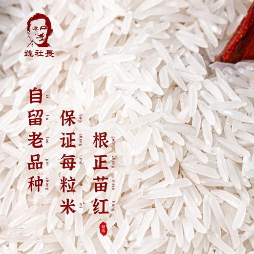 有机象牙大米4.8kg[稻香南垣] 商品图1