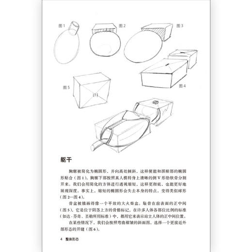 《理解人体形态》口袋版全五册，从装帧到内容全面升级 商品图3