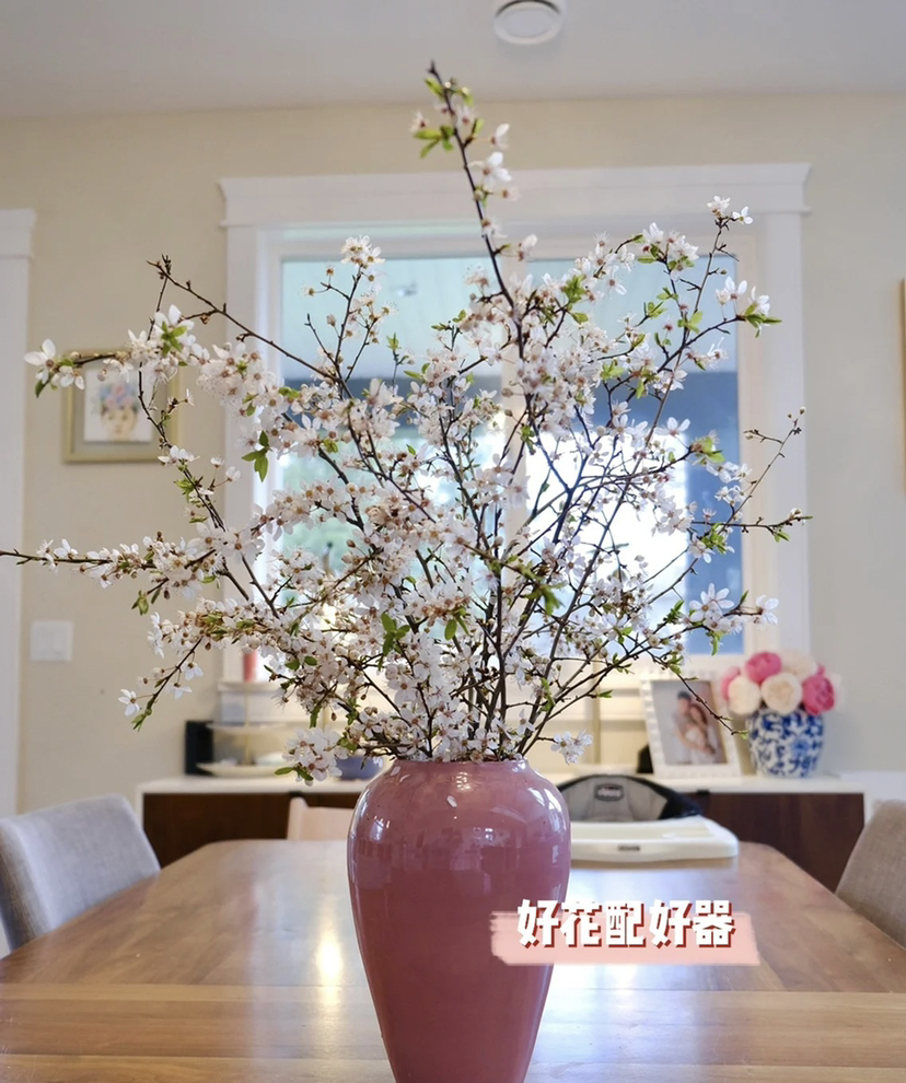 【春枝花】梨花  白色  约2枝/扎