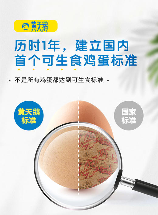 黄天鹅可生食鸡蛋 销量爆款 营养丰富 商品图6