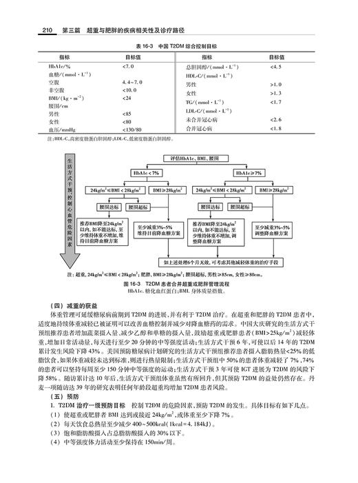 肥胖症治疗 朱翠凤 胡怀东 石汉平 超重与肥胖症综合诊断防治策略 药物手术饮食运动心理等治疗方法 人民卫生出版社9787117340533 商品图4