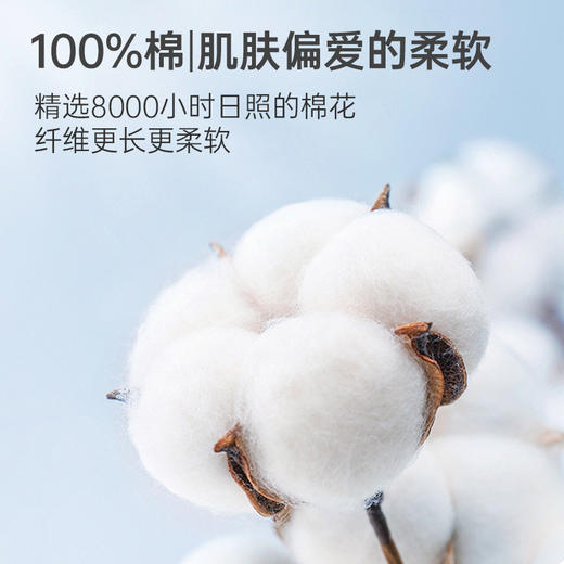 Freego一次性内裤女士纯棉彩色免洗日抛无菌生理期产后月子短裤 商品图2