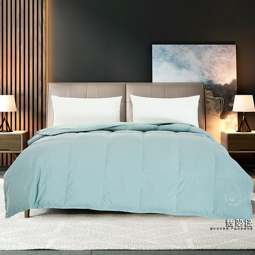 鑫缘 可水洗大朵白羽绒被 EYPA0220 商品图2