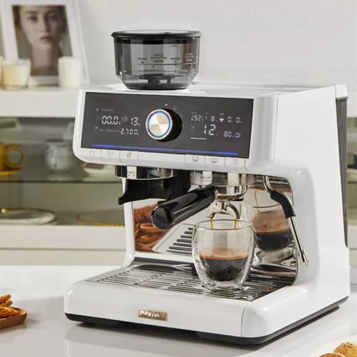 马克西姆鲶鱼 细管 咖啡机意式咖啡机 全半自动家用小型磨豆一体机 商品图0