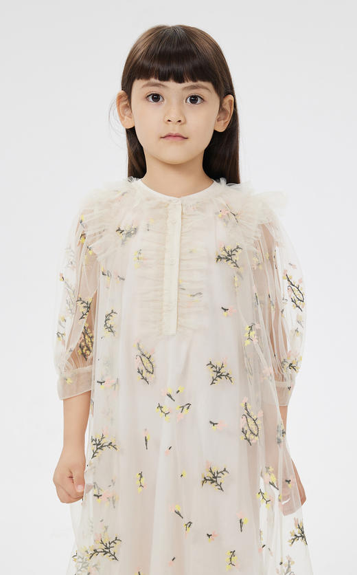 jnby  23年夏款  绣花设计网纱中袖连衣裙  1N4G13120 商品图3