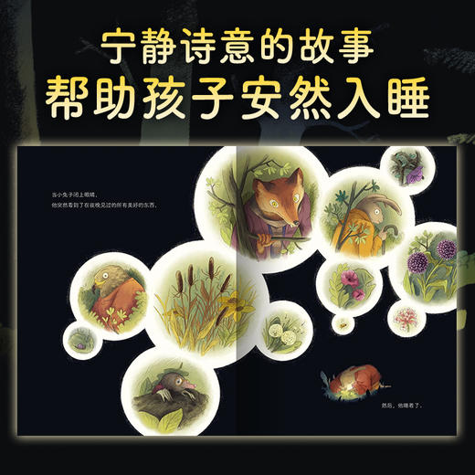 【点读版】绘本花园：森林里的光（精） 商品图1