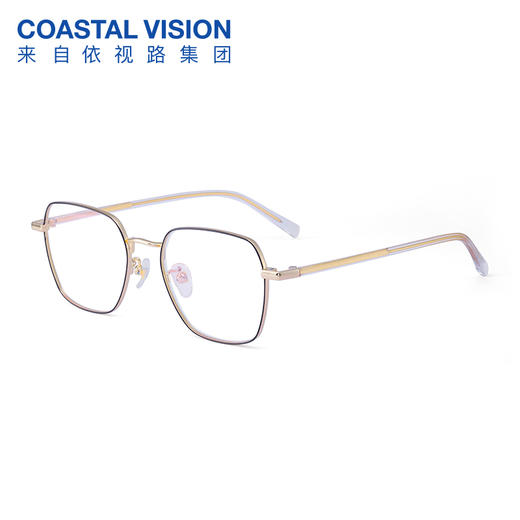 Coastal Vision 镜宴新品光学镜 CVF2040GD 商品图0