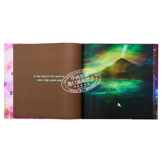 【中商原版】David Litchfield：When the Sky Glows 当天空闪亮 英文原版 精品绘本 儿童故事 Nell Cross Beckerman 4-6岁 商品图4