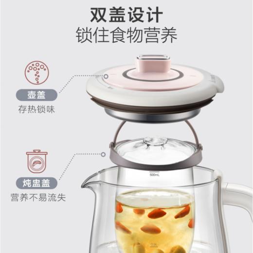 小熊（Bear）养生壶大容量家用多功能办公室煮茶器花茶壶养身隔水炖燕窝盅 商品图2