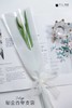 郁金香单支袋 商品缩略图0