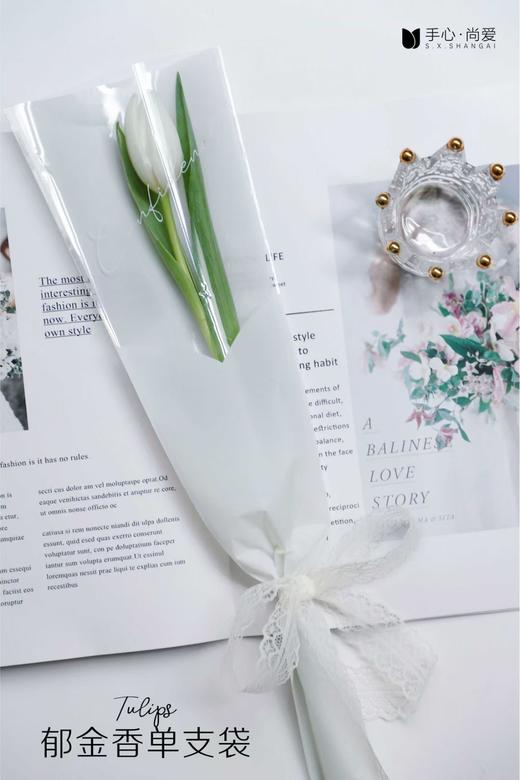 郁金香单支袋 商品图0