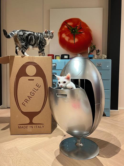 意大利soldi design恐龙蛋 分类垃圾桶 脏衣篮 储物摆件 商品图2