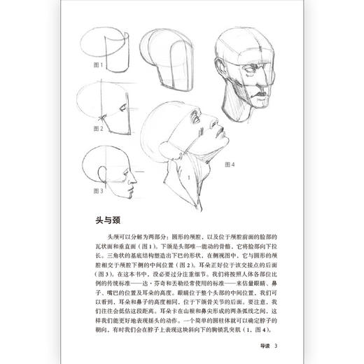 《理解人体形态》口袋版全五册，从装帧到内容全面升级 商品图2
