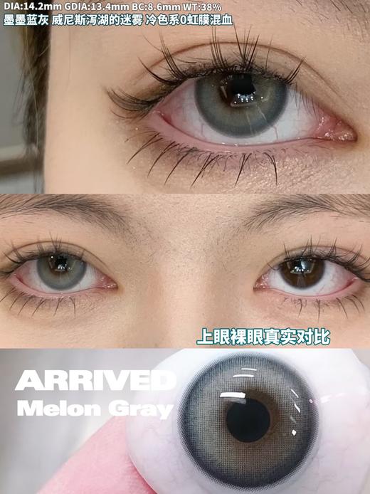 Melon 威尼斯 半年抛 │ Ginomii 🐰牌 商品图3