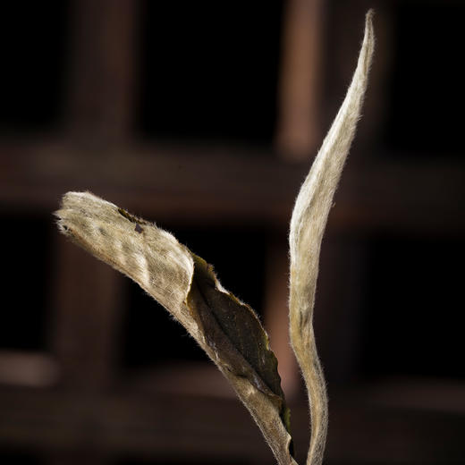 月光白 商品图1