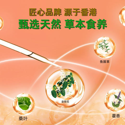 香港衍生十味银花蜜膏10g*10袋 商品图1