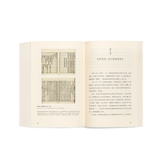 《孤星之旅：苏东坡传》文人视觉传记 苏轼 商品图1